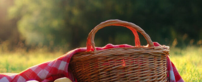 picknick tiel